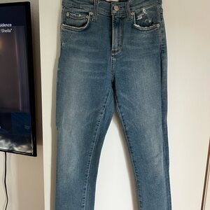 Agolde Sophie Crop Hi Rise Skinny